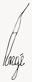Angé
