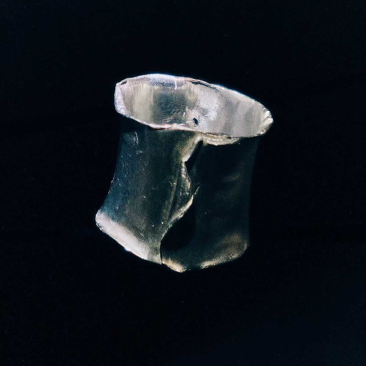 Anatomy of lust from a female perspective